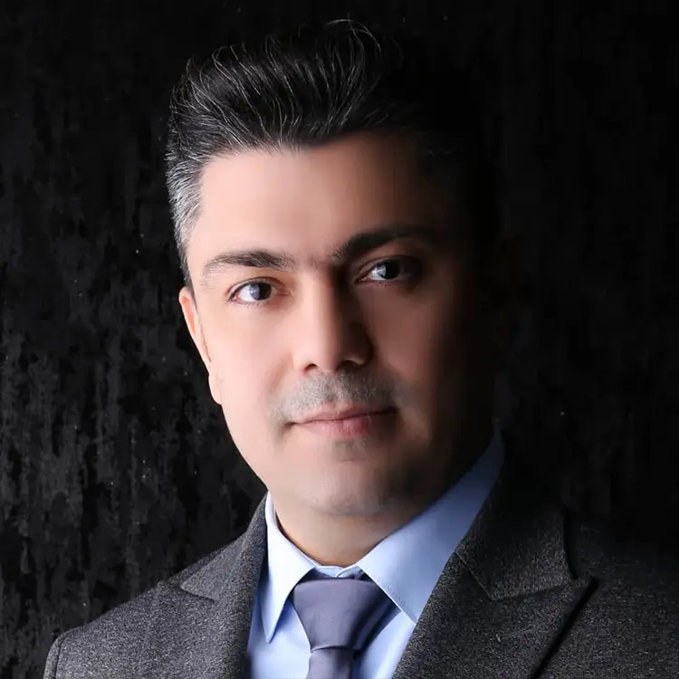 مهندس مهدی صدفی